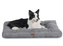 מיטה לכלב בינוני-גדול Bedsure