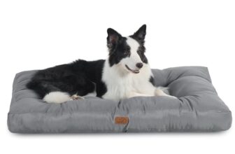 מיטה לכלב בינוני-גדול Bedsure
