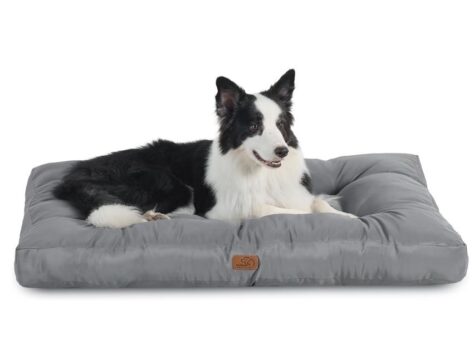 מיטה לכלב בינוני-גדול Bedsure