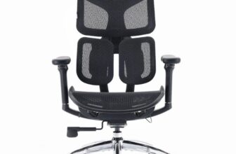 כסא מנהלים SIHOO Doro-S100