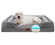 מיטה אורטופדית לכלב Jumbo