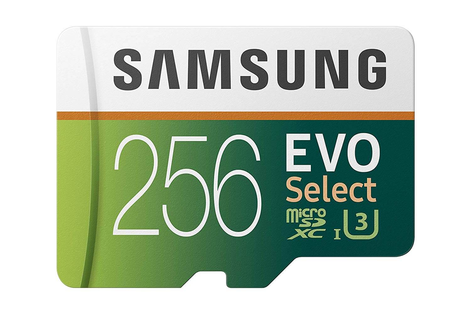 כרטיס זכרון Samsung EVO בנפח 256GB סמסונג