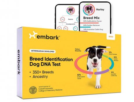 בדיקת DNA לכלב 