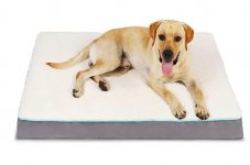 מזרן ביצים אורטופדי לכלב 