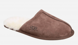UGG Scuff Suede