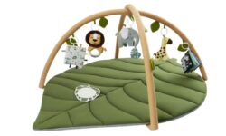 אוניברסטיה לתינוק Blissful Diary