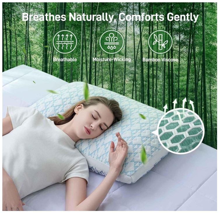 זוג כריות Caelorin מילוי ספוג זיכרון     