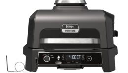 Ninja Woodfire Pro XL