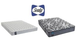 קופון בלעדי למזרני Sealy