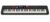 אורגן Casio CT-S1000V