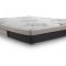 מזרן זוגי Sealy Motion Visco סילי