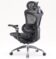כסא מנהלים SIHOO Doro-C300 PRO