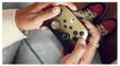 בקר אלחוטי ל Xbox צבע Gold Shadow מהדורה מיוחדת