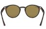 משקפי שמש Ray-Ban Rb2180 Havana