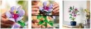 לגו 10372 LEGO Botanicals Hibiscus פרח היביסקוס